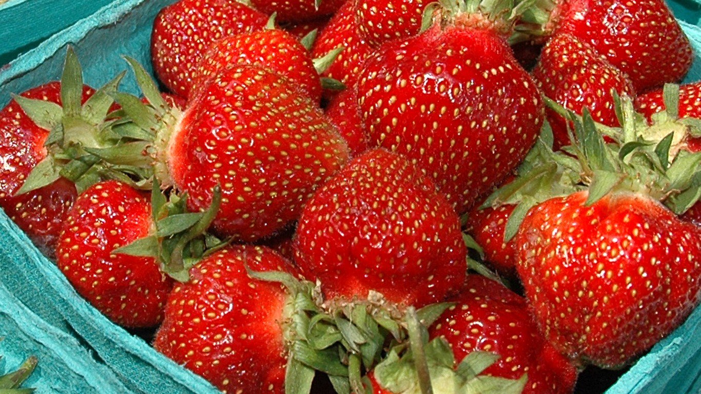 Strawberries by ewan traveler