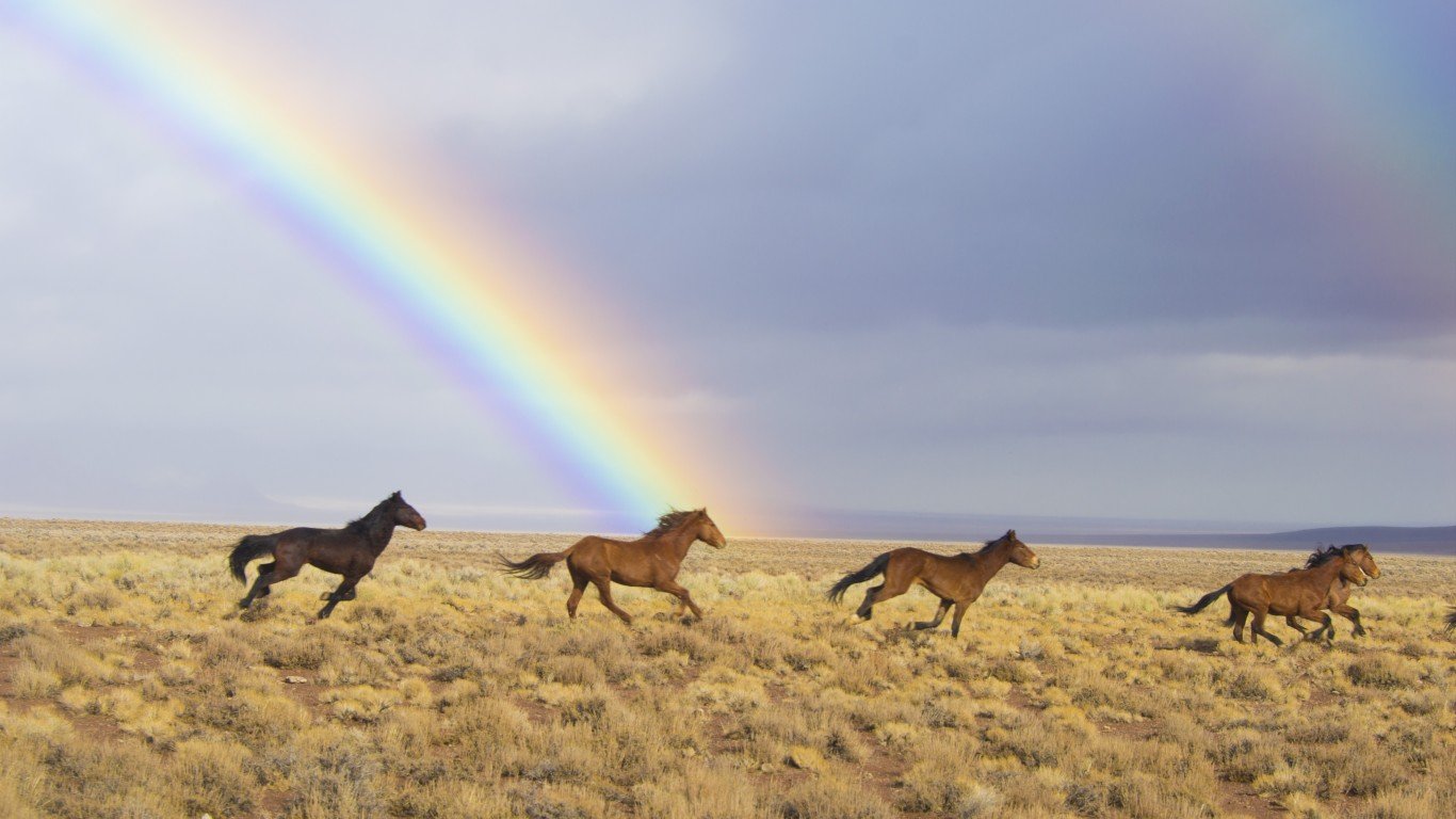2017 Reveille Wild Horse Relea... by BLM Nevada