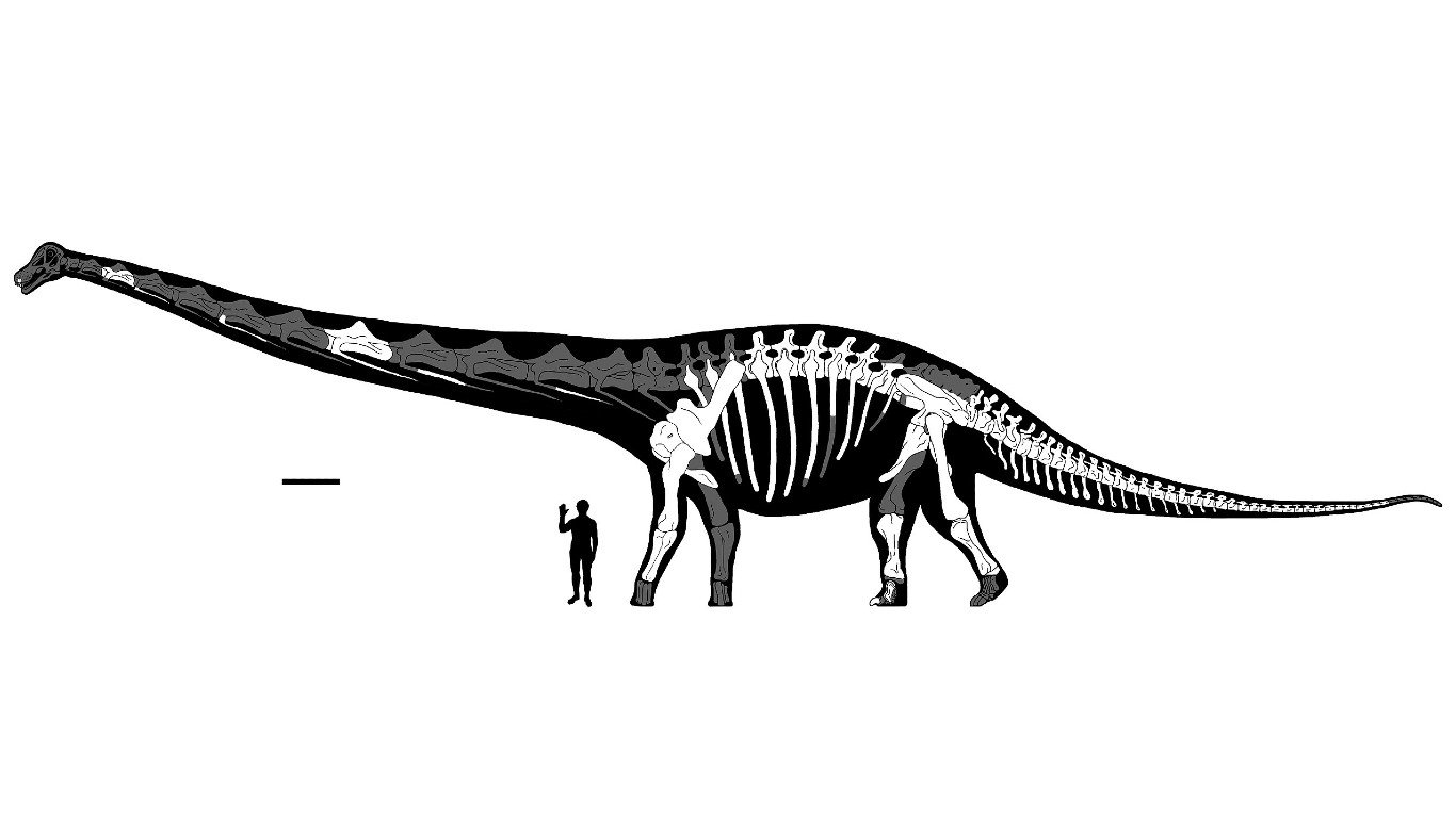 Dreadnoughtus Published Reconstruction by ArcaneHalveKnot