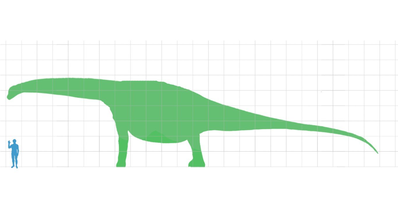 Turiasaurus scale by Dinoguy2