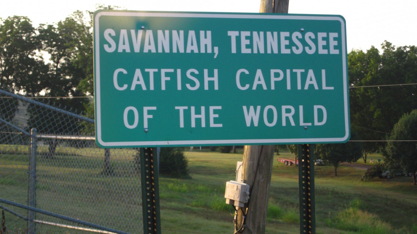 Savannah TN by Allen Gathman