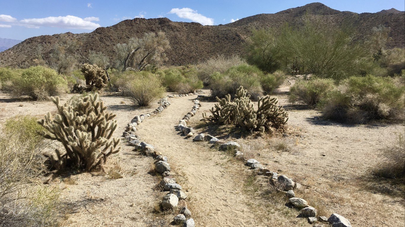 Desert Trail by docentjoyce