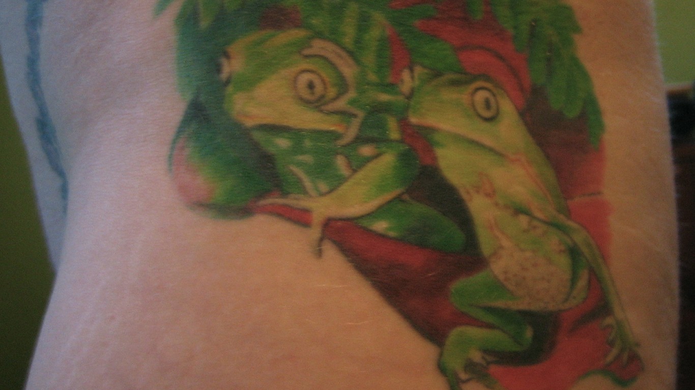 Finished frogs tattoo by t