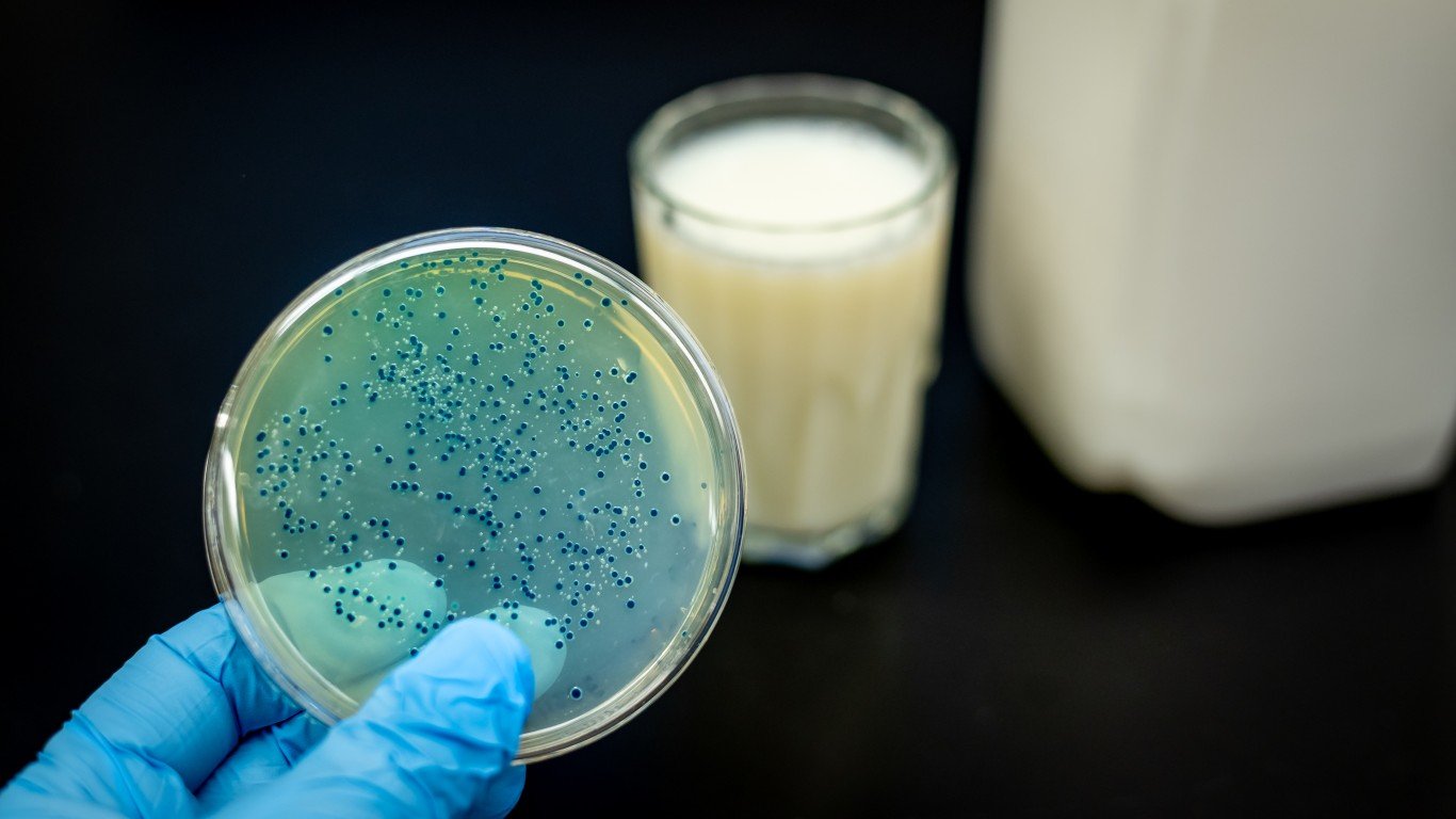 Производство кисломолочных бактерий. Молоко и бактерии. Микроорганизмы молока. Молочные бактерии. Бактерии в молоке.