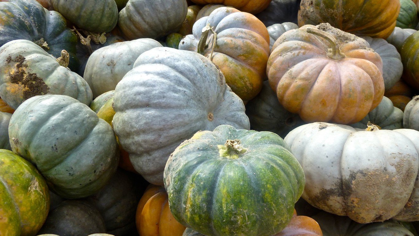 Many types of Pumpkins and Squ... by Deb Nystrom
