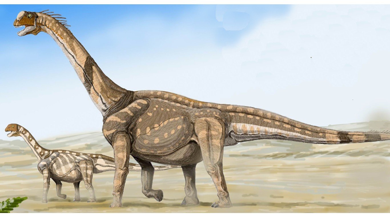 Camarasaurus cropped and shopped by Abyssal