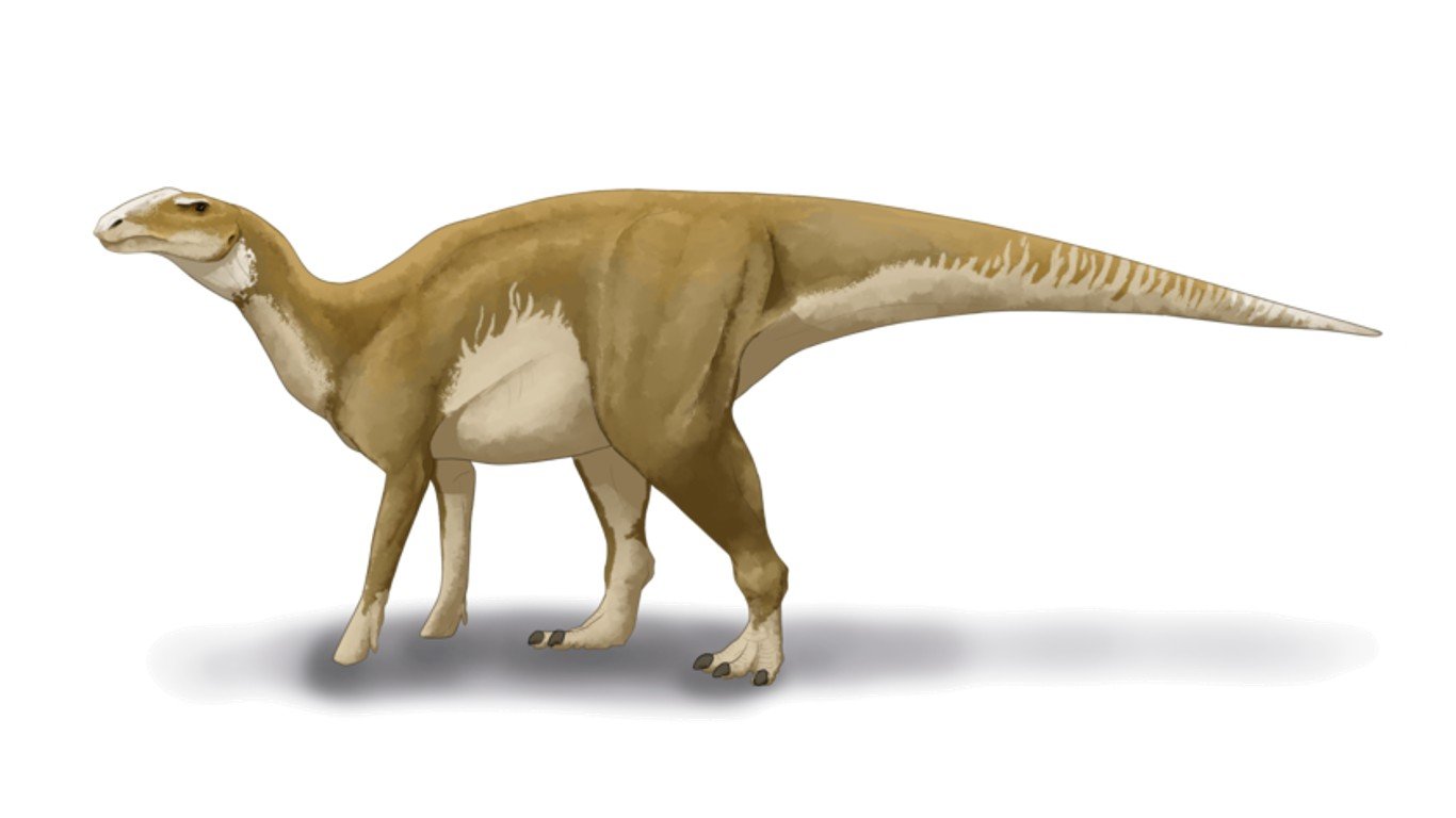 Hadrosaurus foulkii by Audrey.m.horn