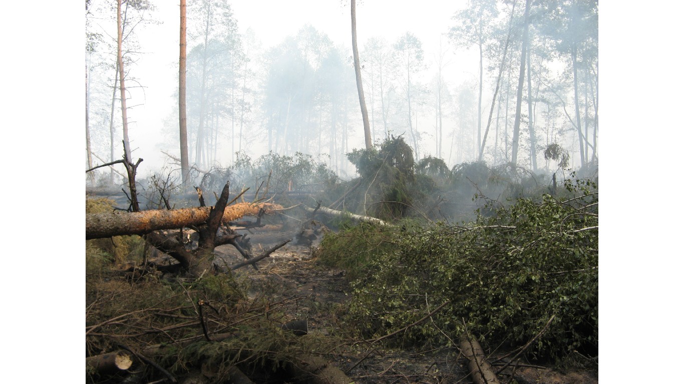 Forest fire near Roshal town 13 aug 2010 by Evgen2