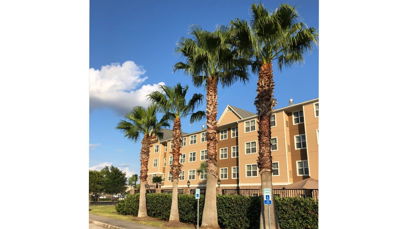 2019-07-19 19 01 21 Palm trees along Katy Mills Parkway in Katy, Fort Bend County, Texas by Famartin