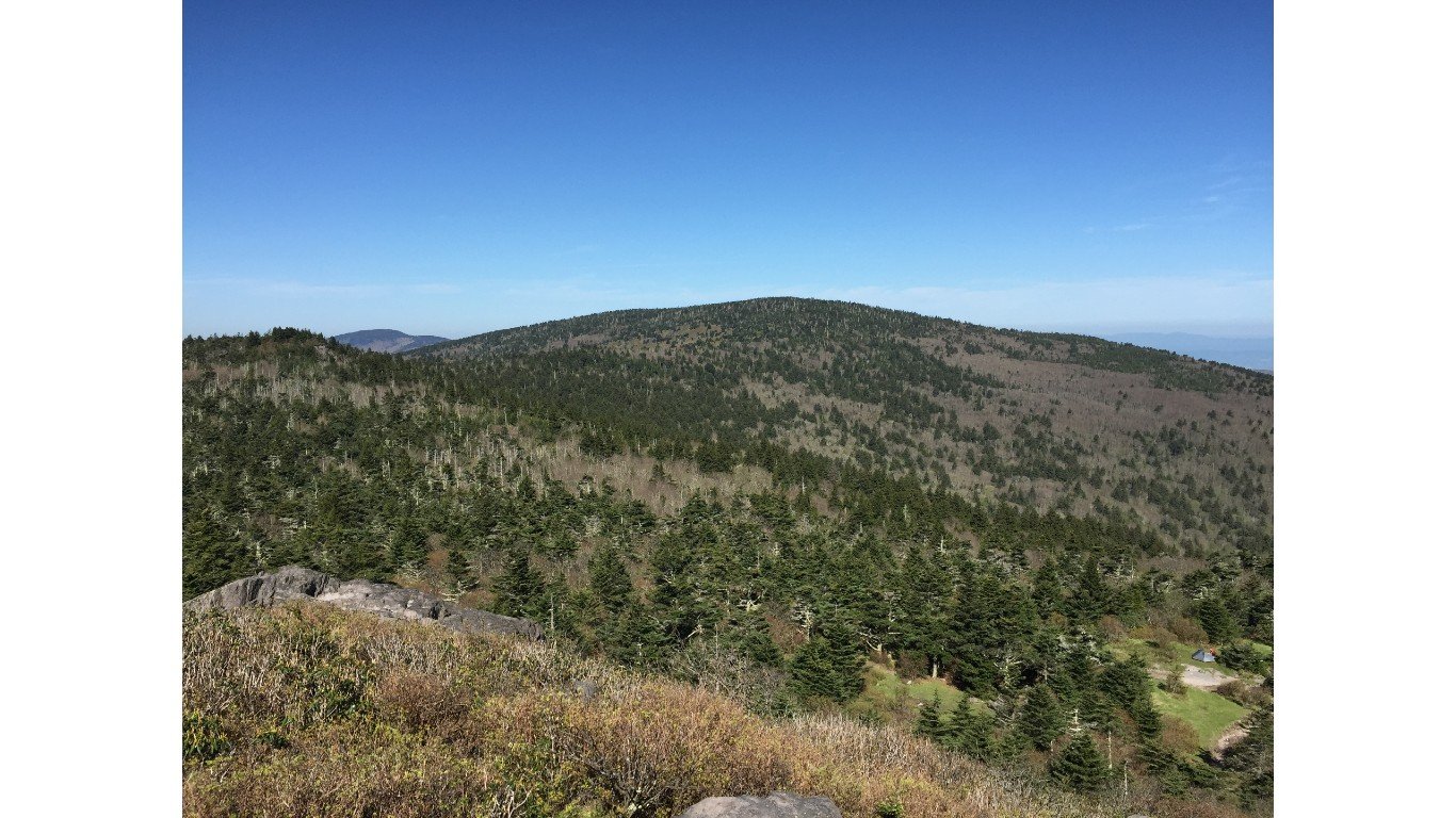 View west-northwest toward Mount Rogers from the summit of Pine Mountain by Famartin