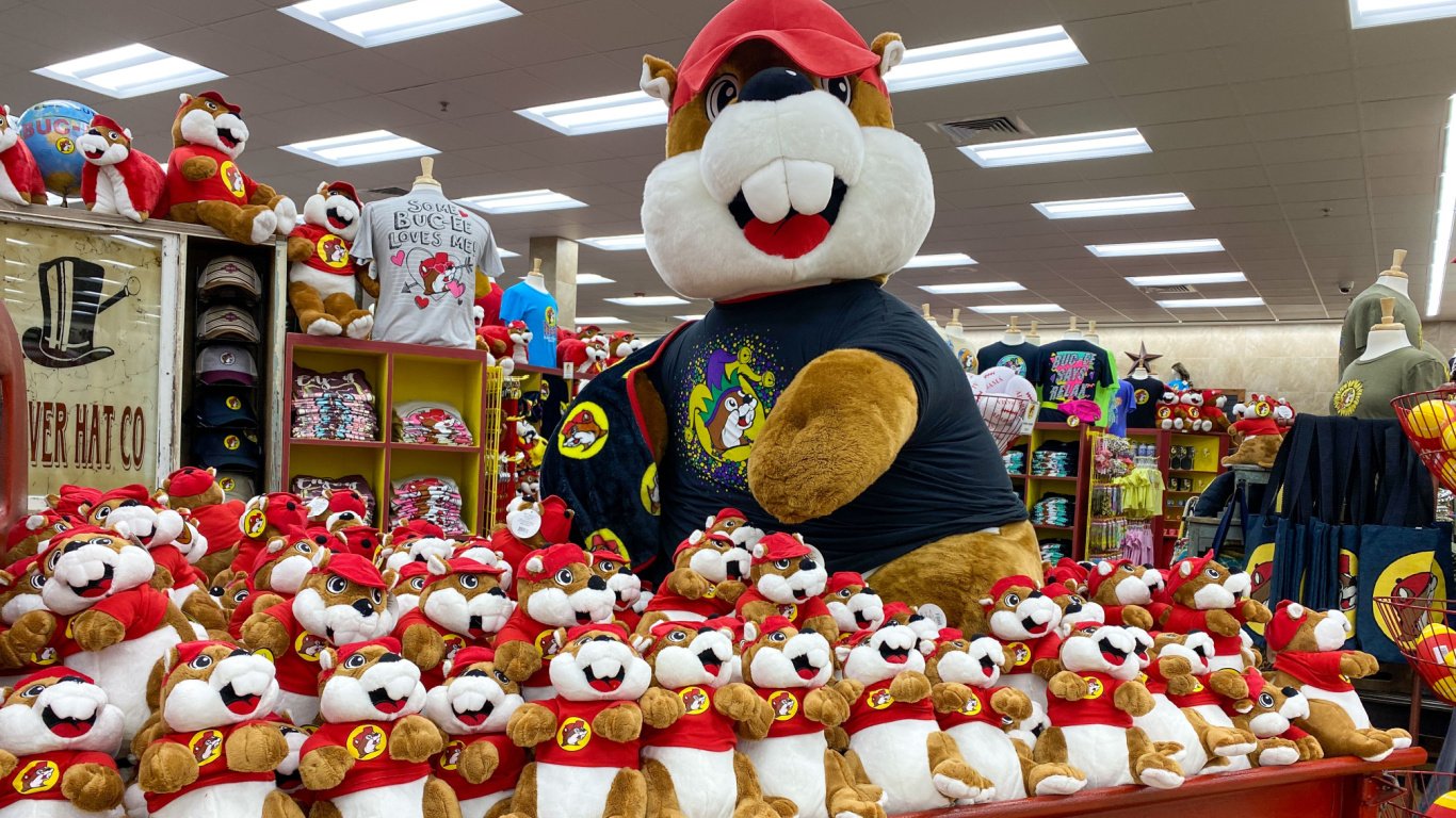 Buc-ee's Toys and Mascot