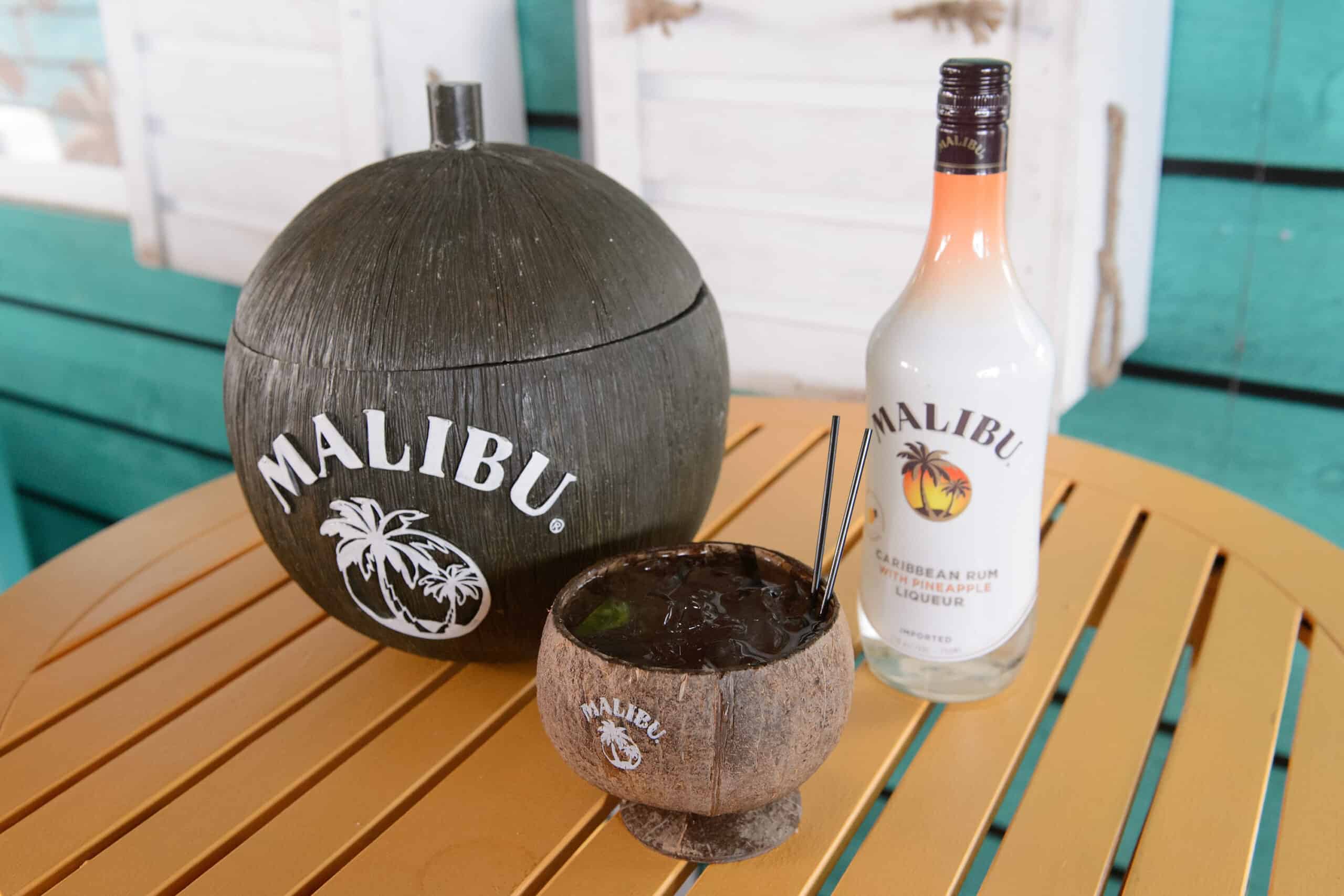 Malibu Rum Celebrates Summer With Jana Kramer's Surprise Performance