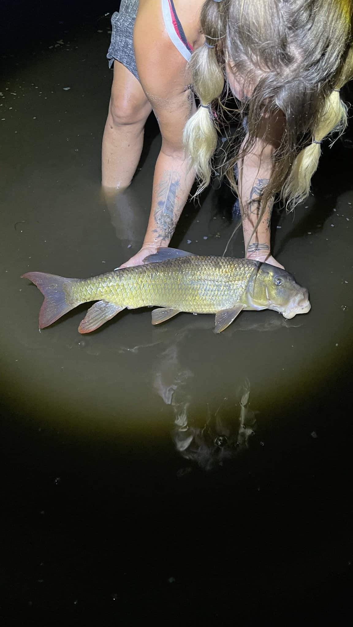 25 Largest Fish Ever Caught in Michigan - 24/7 Wall St.
