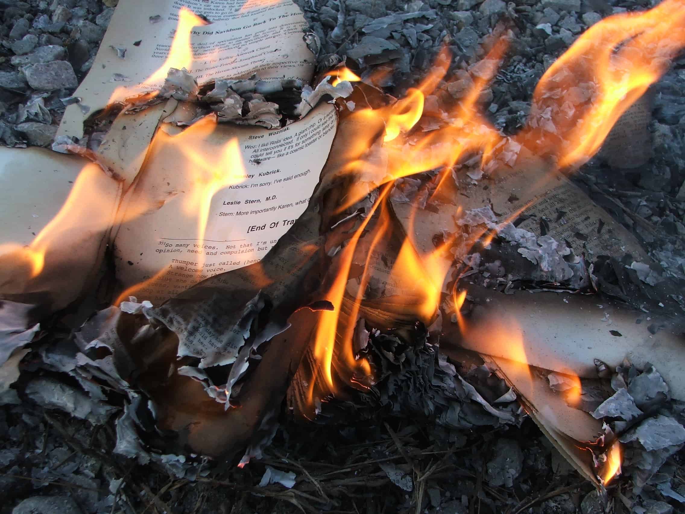 The book The House of Leaves being burned