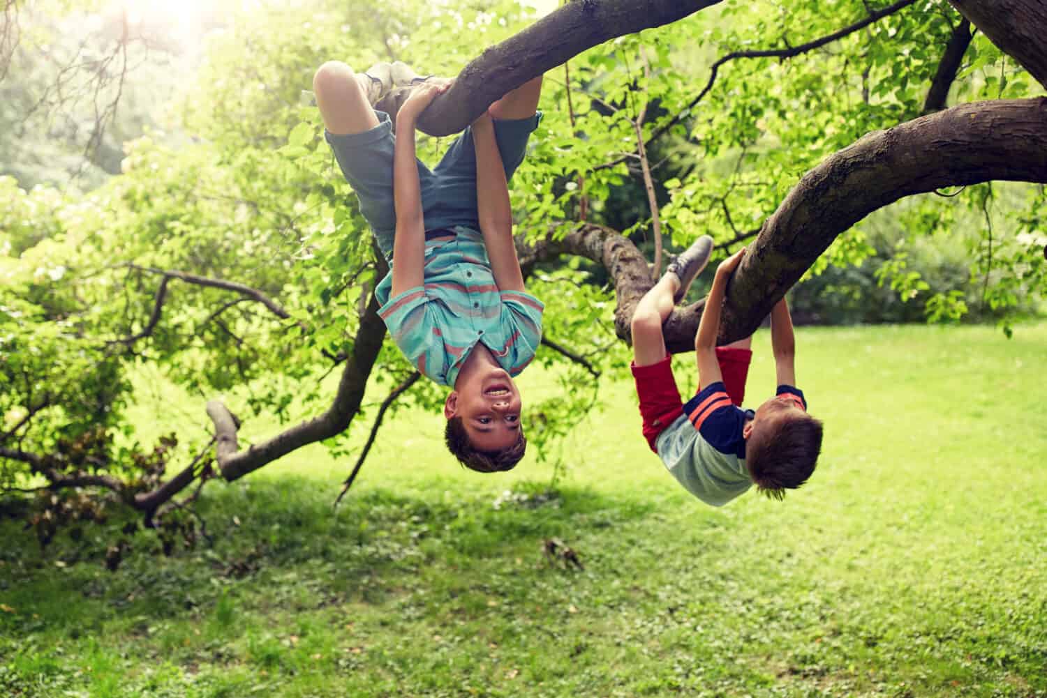 friendship, childhood, leisure and people concept - two happy kids or friends hanging upside down on tree and having fun in summer park