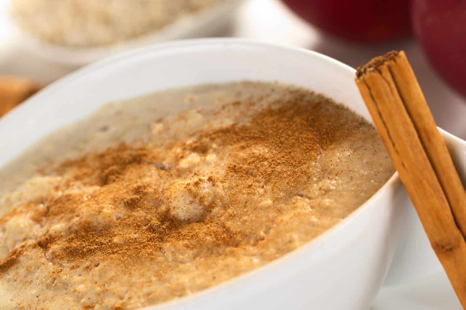 Porridge made of oatmeal and milk served with ground cinnamon and sugar (Selective Focus, Focus one third into the porridge)