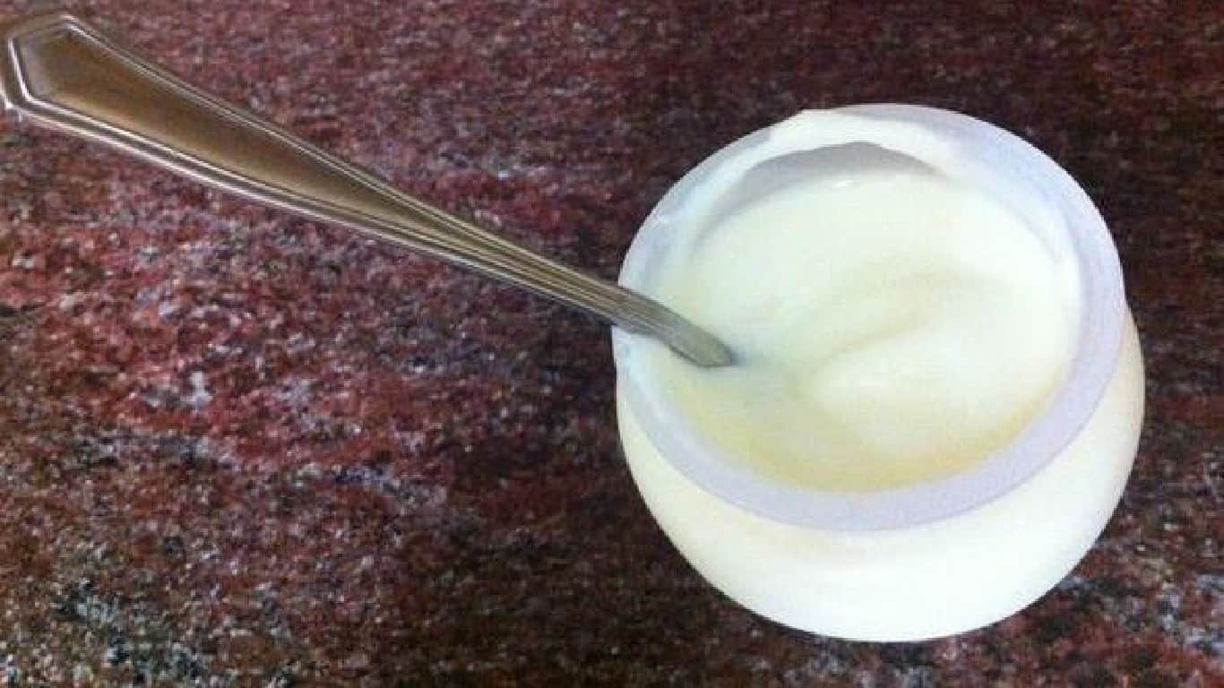 yogurt by gyroscopio