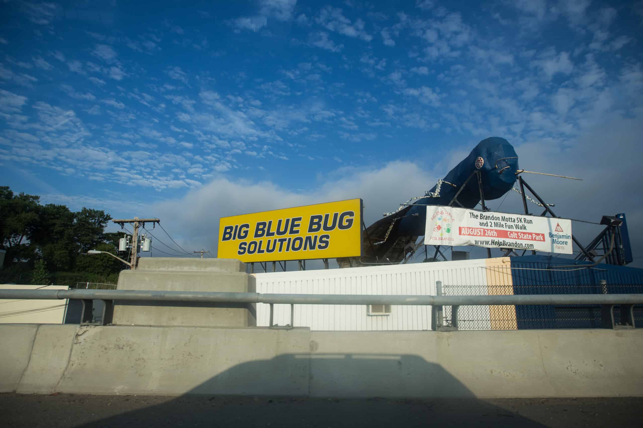Big blue bug solutions by Tom Woodward