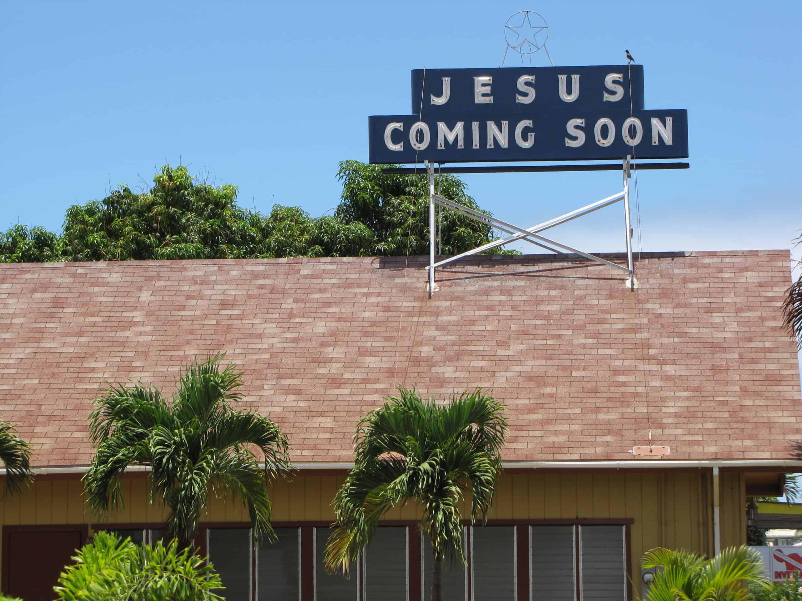 Starr-090709-2521-Veitchia merrillii-habit with Jesus Coming Soon sign-Lahaina-Maui by Forest and Kim Starr