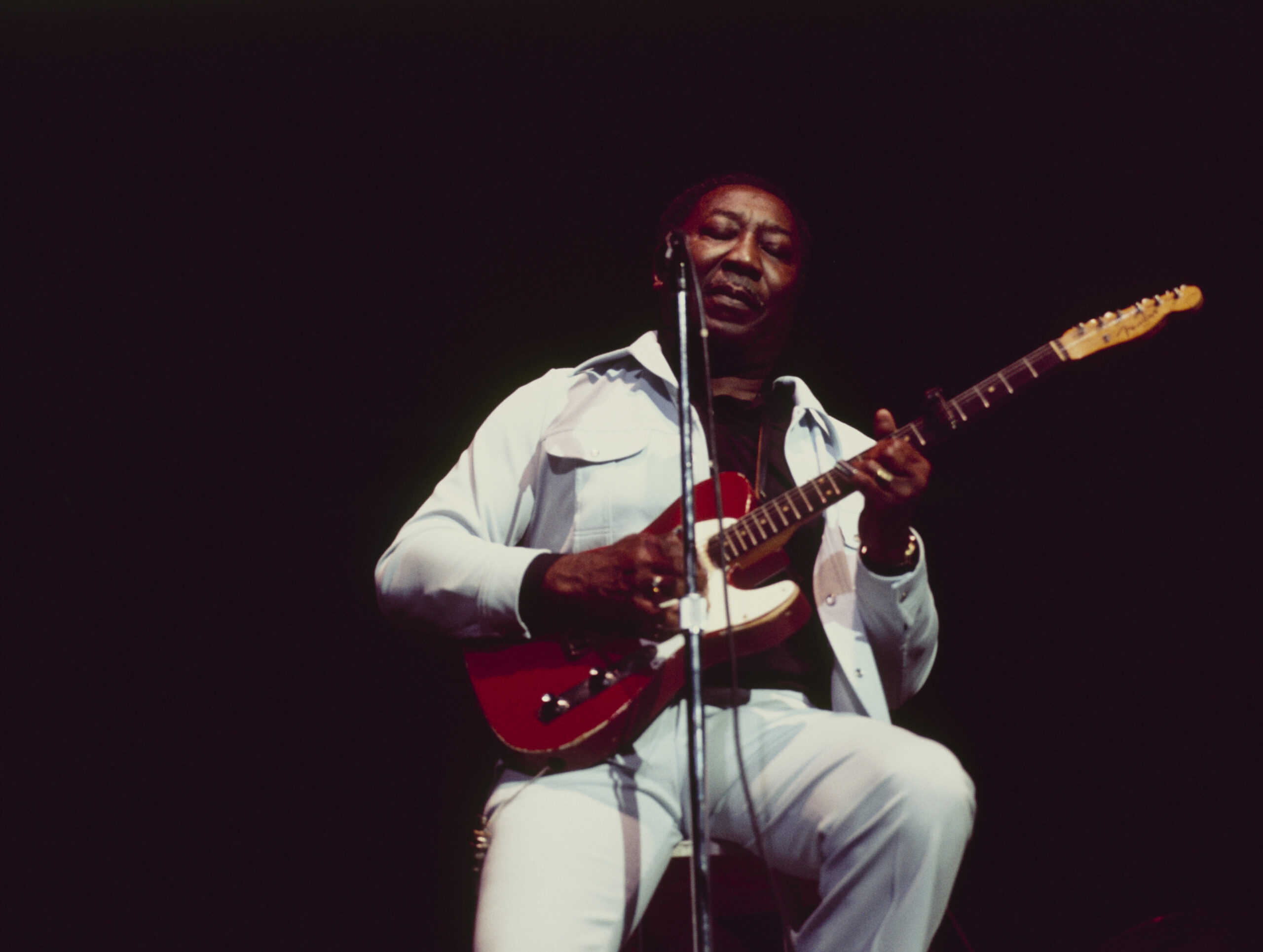 Muddy Waters Live At 1976 Newport Jazz Festival