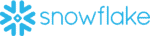Will Snowflake Reach $300 This Year?