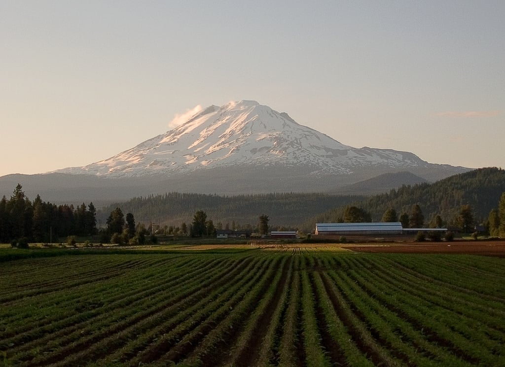 Mt Adams from Trout Lake Highway by pfly