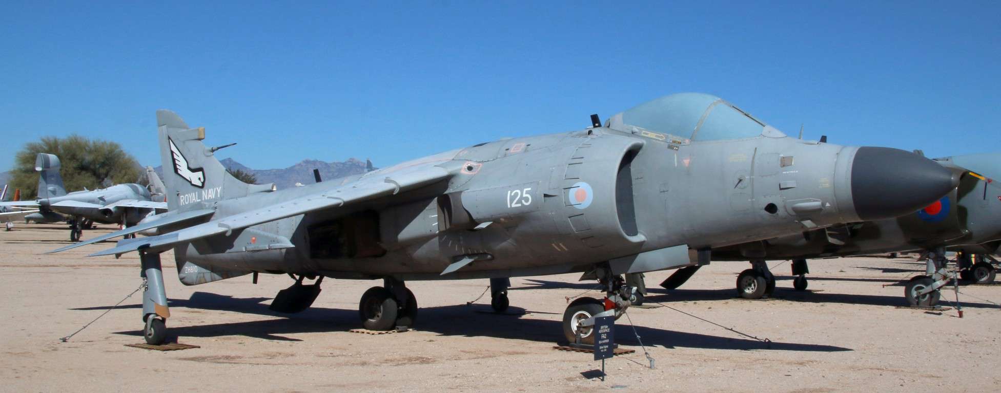 ZH810 BAe Sea Harrier FRS2 by Steve Knight
