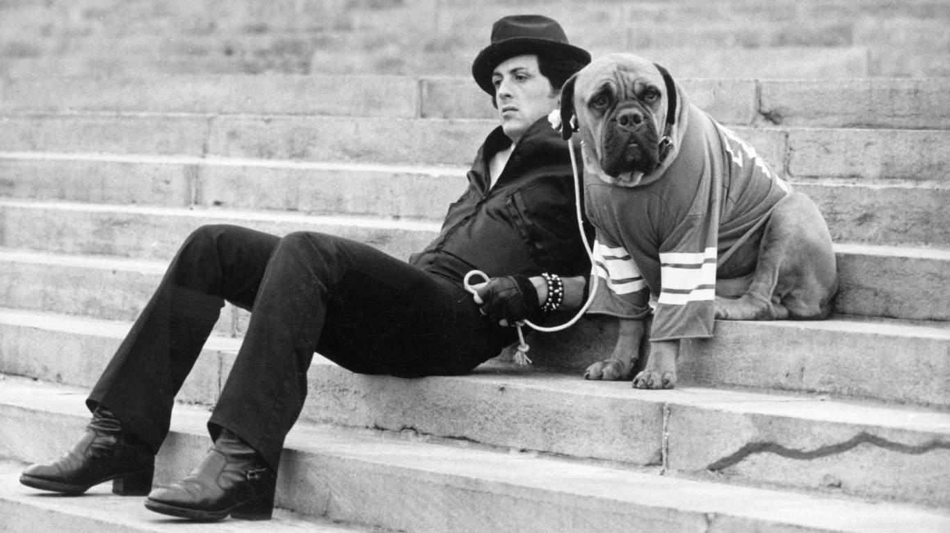 Sylvester Stallone 1976 | Sylvester Stallone With Dog In 'Rocky'