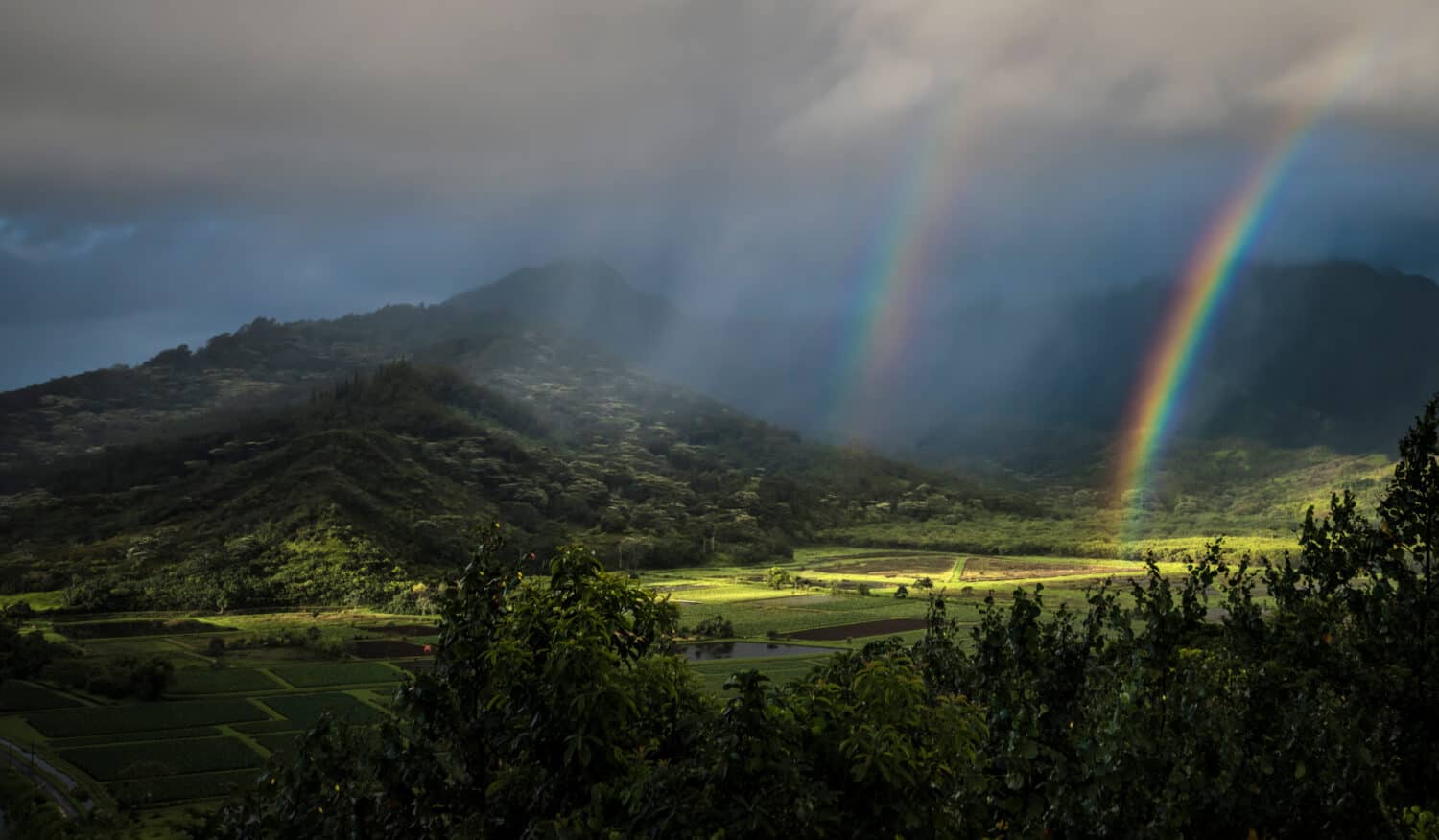 Double rainbow and sunbeams illuminate the taro fields at Kauai's Hanalai overlook.