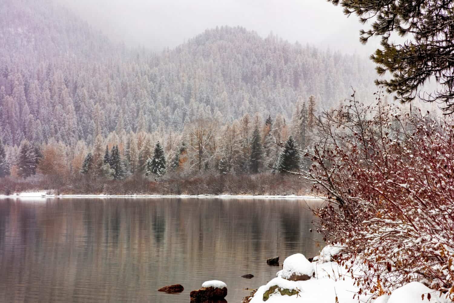 Snowy autumn day on Tally Lake in the Flathead National Forest, Montana, USA