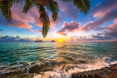 A wide shot of a vibrant Hawaiian sunset over the ocean. Lush green palm fronds frame the top left and right corners. The sky transitions from blue at the top to vibrant pinks, purples, and oranges near the horizon, with soft clouds. The bright yellow sun is setting over the calm, blue-green ocean, reflecting a golden path across the water. Two small, dark islands are visible in the mid-distance. Waves with white foam gently crash onto a dark, rocky shore in the bottom right foreground.