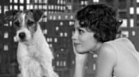 The Artist (2011) | Bérénice Bejo and Uggie in The Artist (2011)