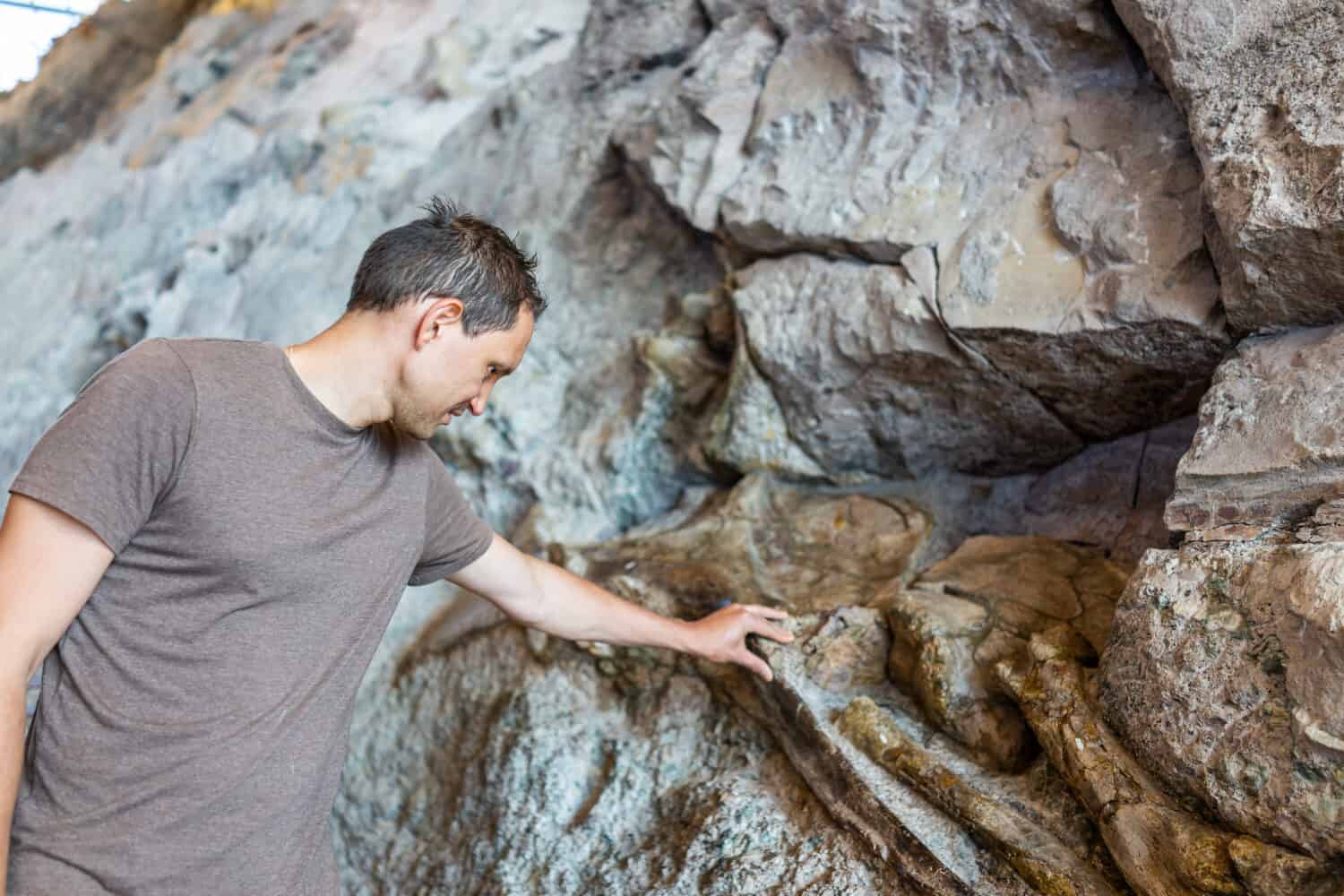 Man touching bones in Quarry visitor center exhibit hall in Dinosaur National Monument Park of fossils on wall in Utah