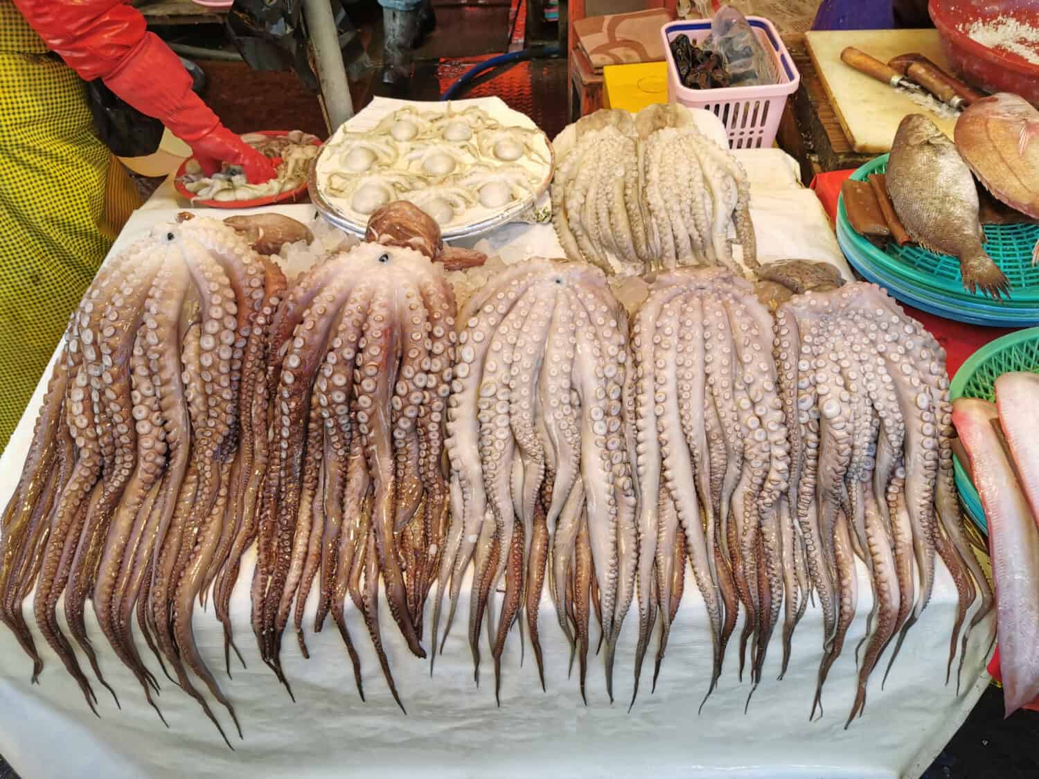 San-nakji is a variety of raw dish made with long arm octopus (Octopus minor), a small octopus species called nakji in Korean and is sometimes translated into "baby octopus".