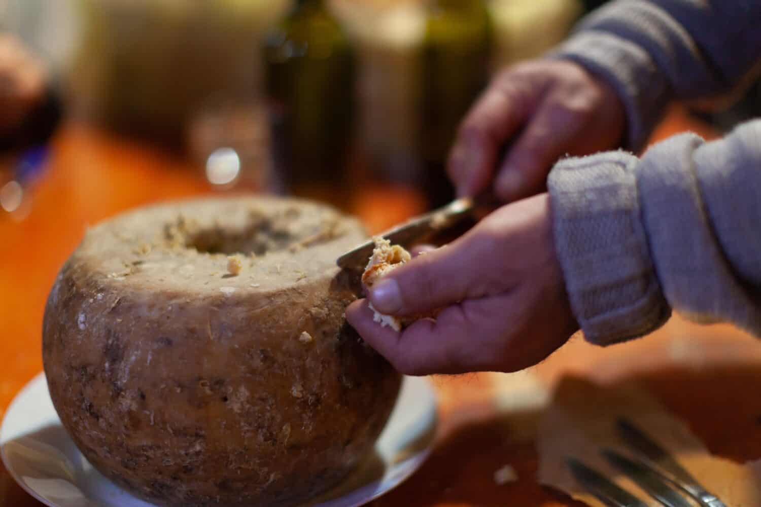 Famous Casu Marzu or Casu Martzu Cheese with Worms from Sardinia Italy Close Up. This pecorino cheese is over typical fermentation, and is closer to a stage of decomposition. Cheese with Worms.