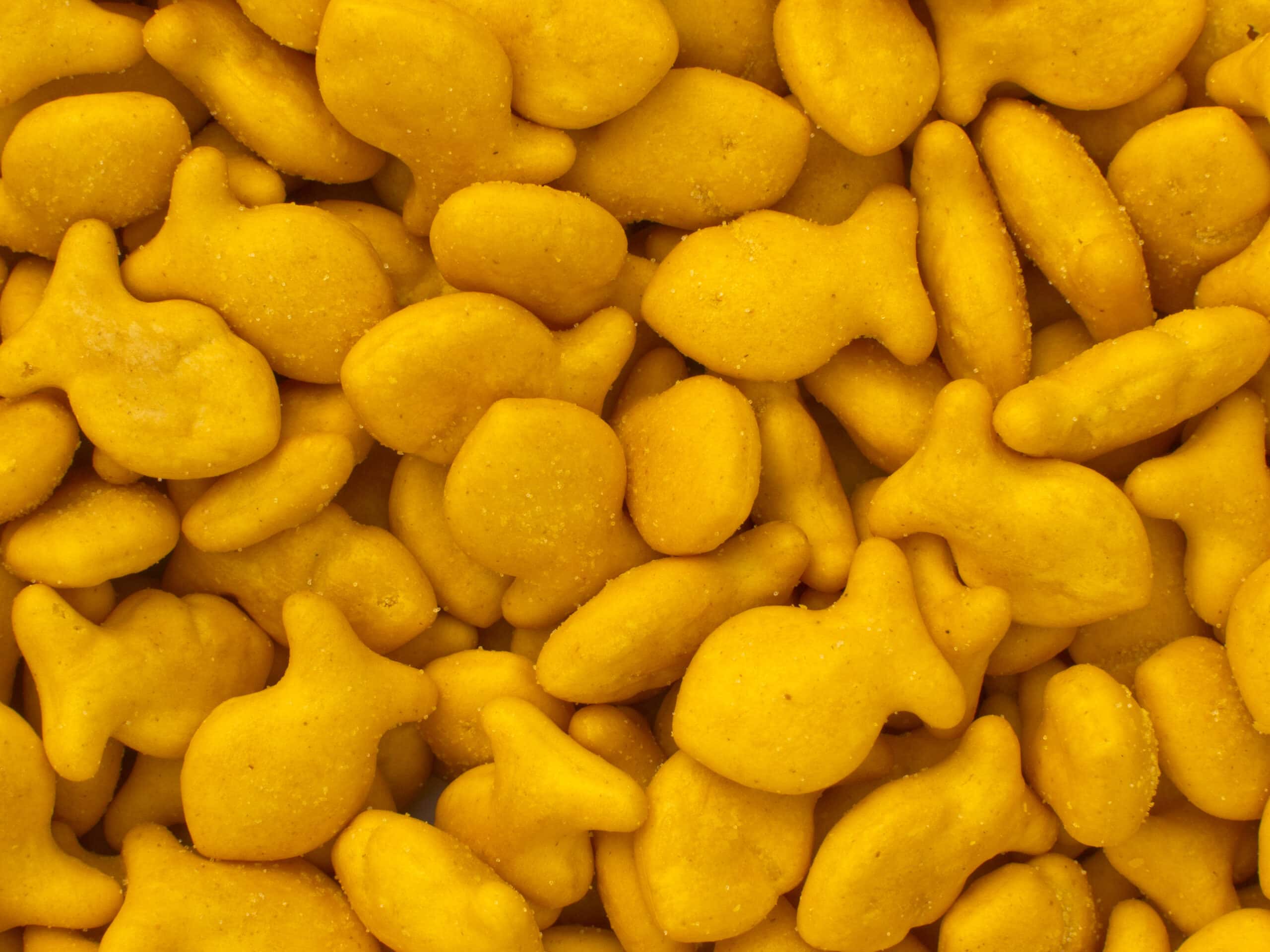 A pile of Goldfish Crackers