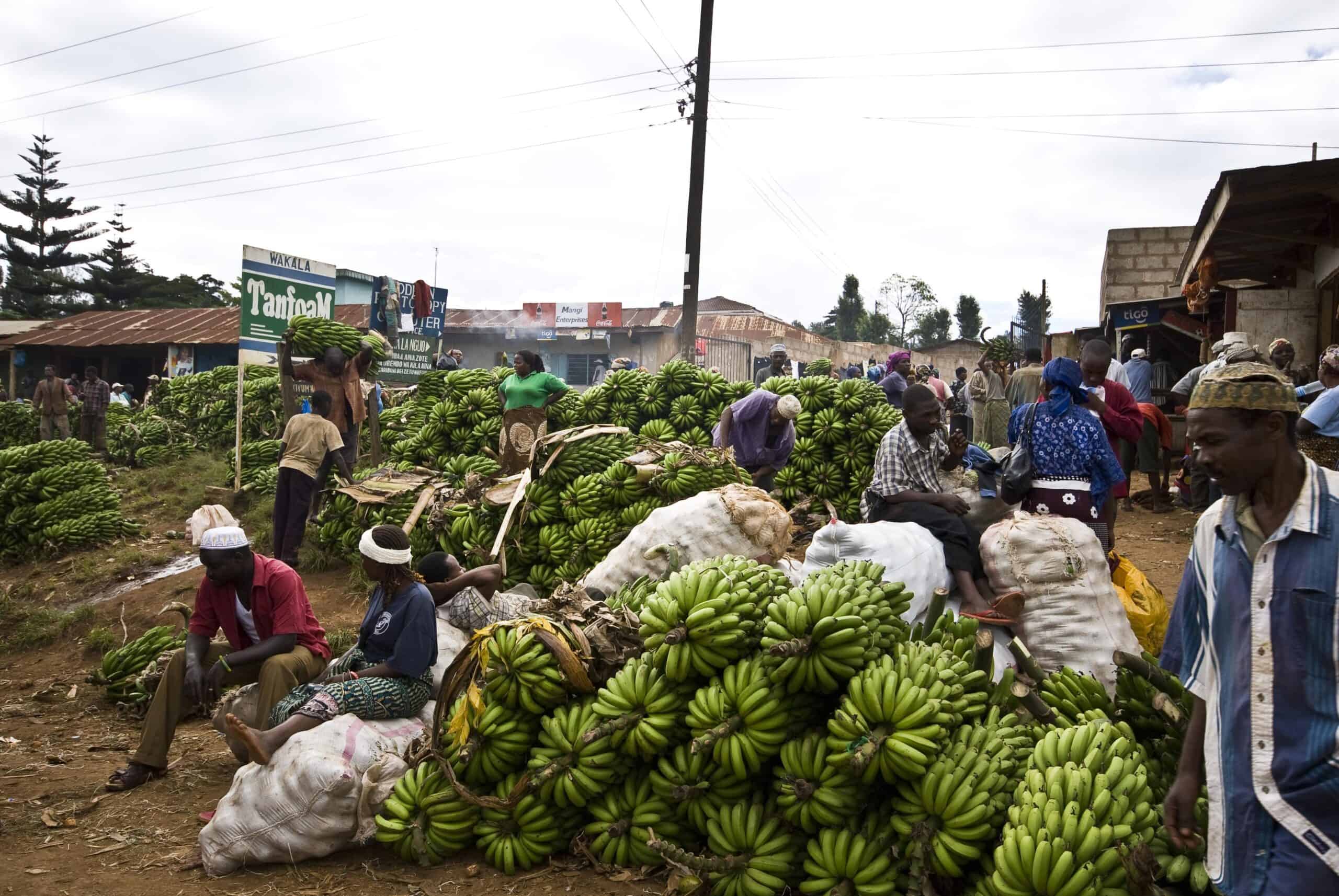 Tanzania Banana market by Runjiv