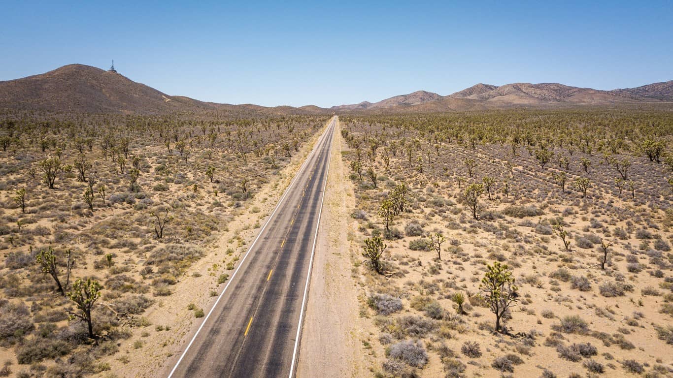 Nevada | Joshua Tree Highway Nevada