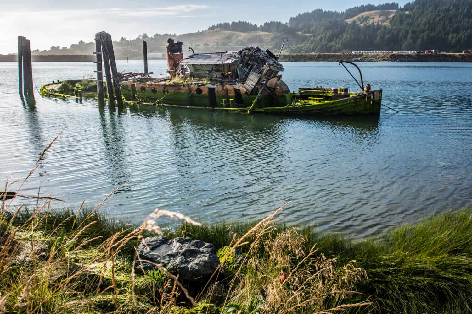 Remains of the abandoned shipwreck of the Mary D. Hume, in Gold Beach Oregon, along the Rouge River