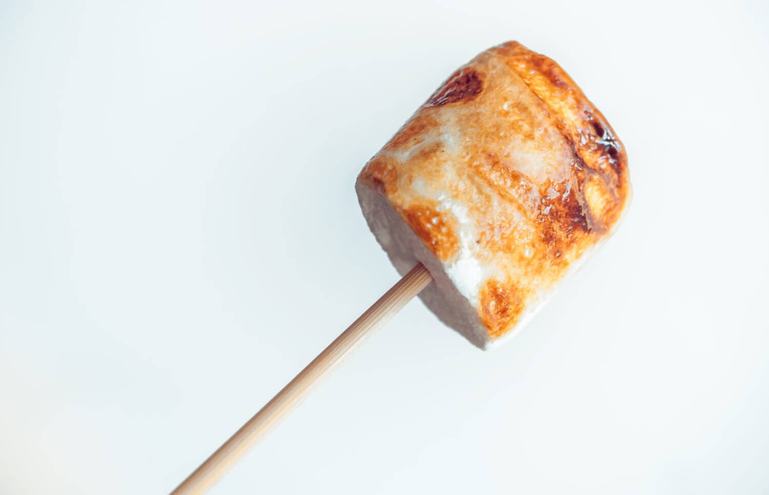 roasted marshmallows on a skewer on white background