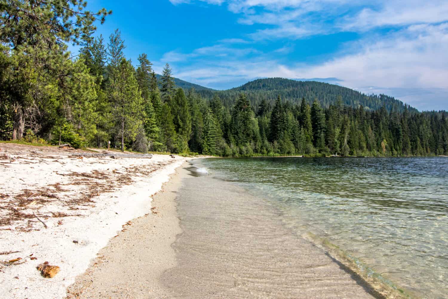 Sandy beach at Priest Lake Idaho with small waves in clear blue water, blue sky's and trees and forest in the background during summer season.