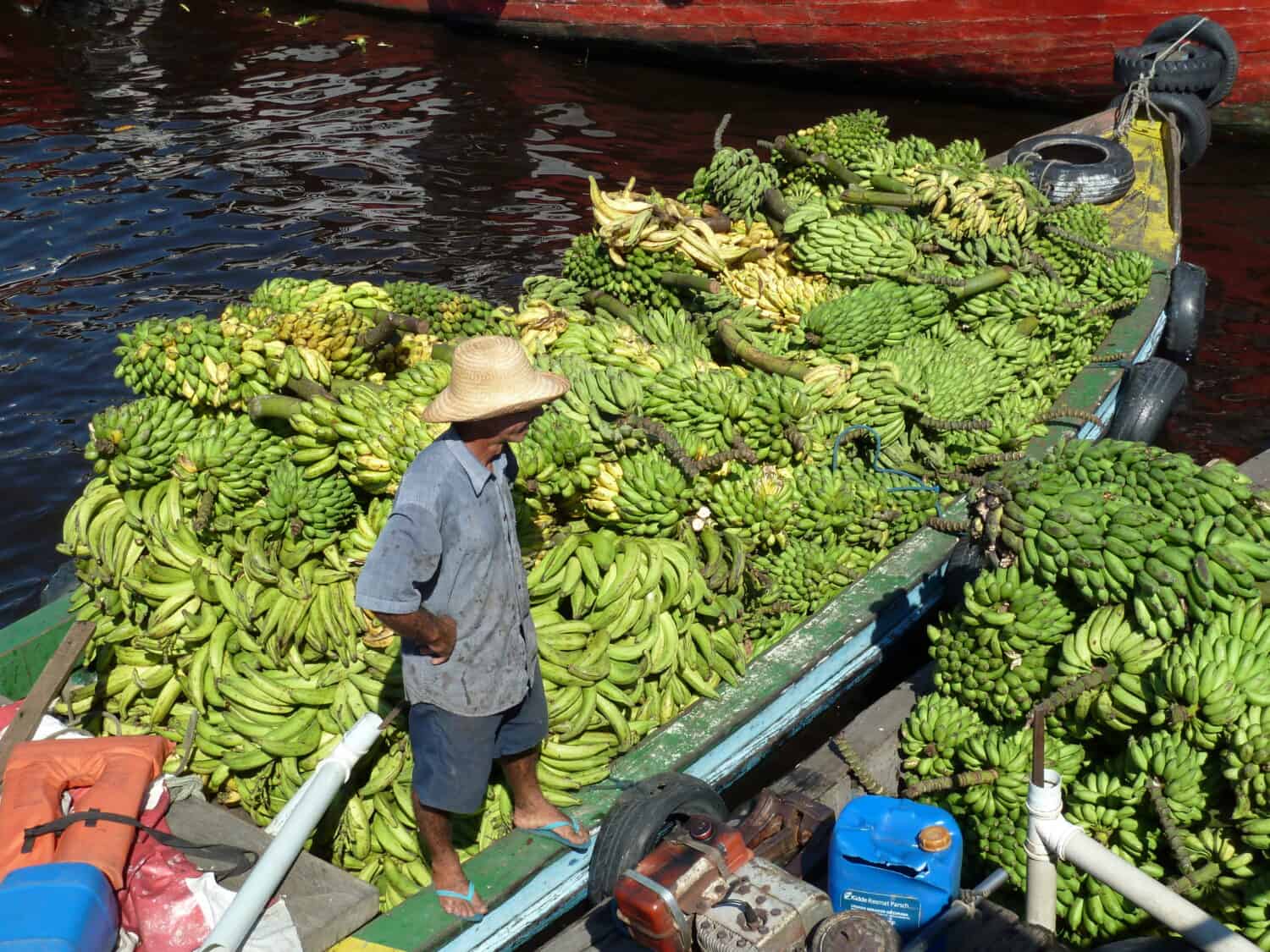 Bananas (Musa) delivery by boat to the banana market in Manaus, Amazonas - Brazil