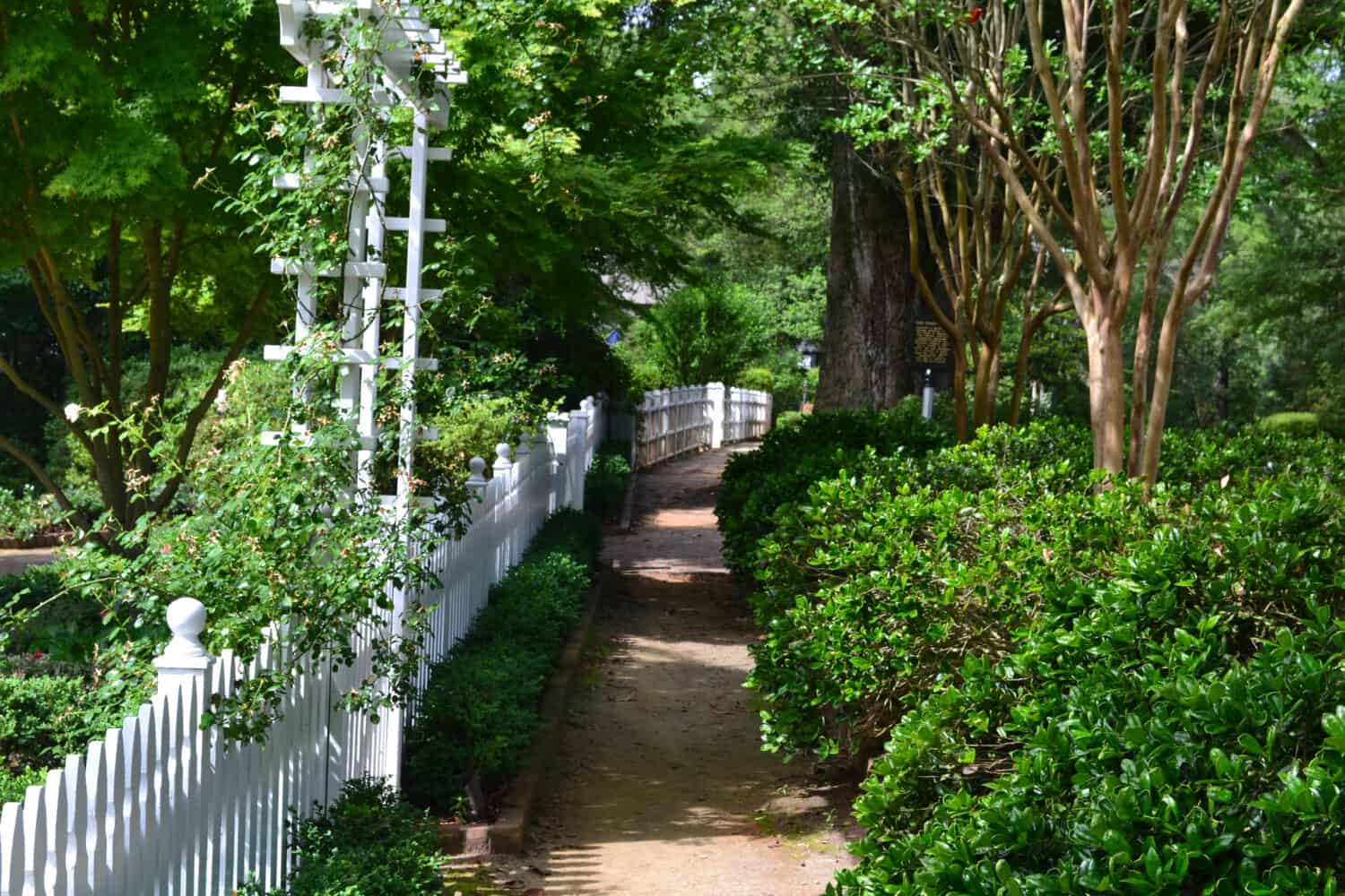 Sidewalk through the village of Pinehurst in North Carolina