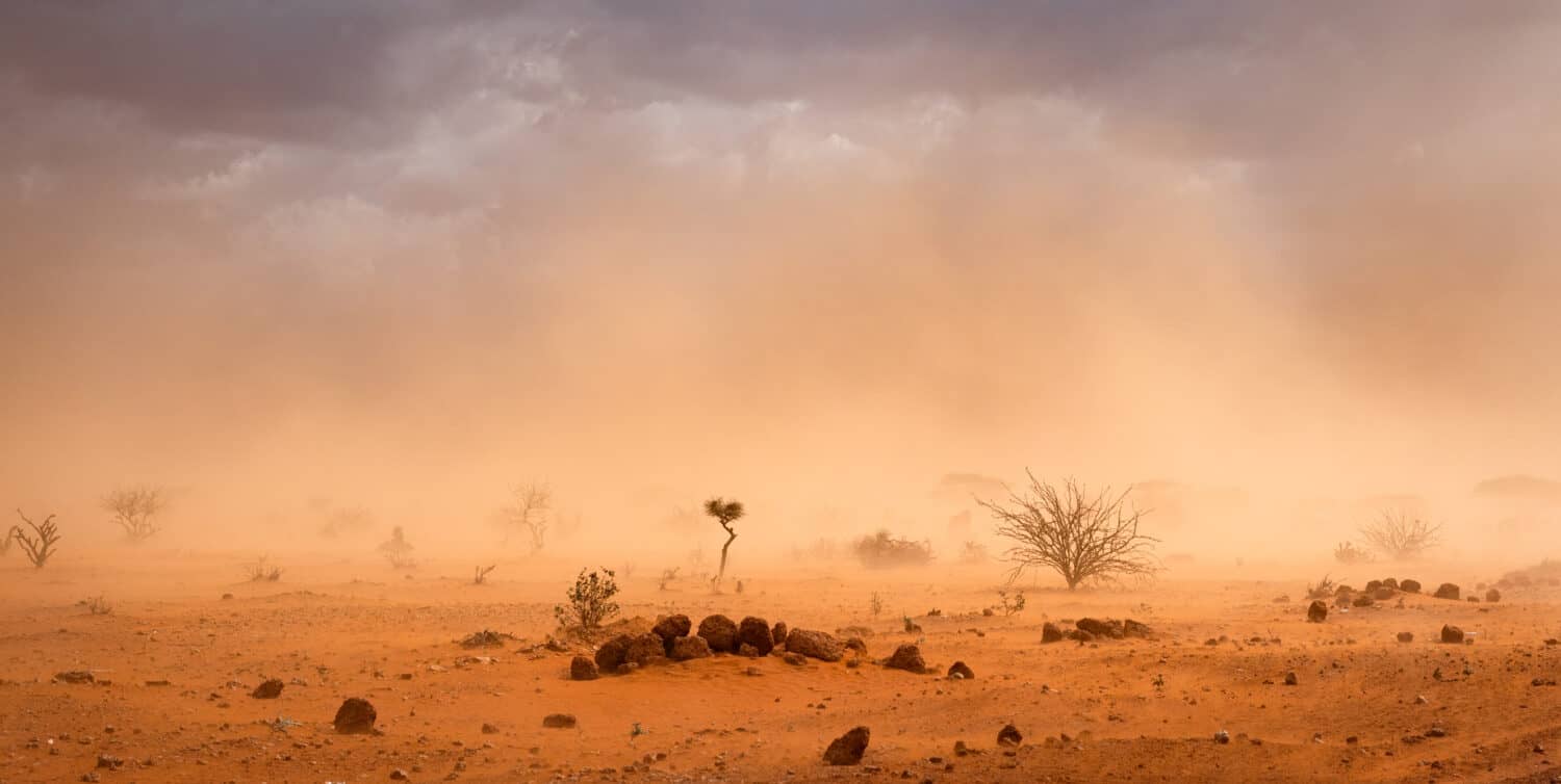 Climate change in Africa: dramatic dusty sandstorm blowing sand and dirt through savanna, disrupting life in Melkadida refugee camp , Dollo Ado, Somalia region