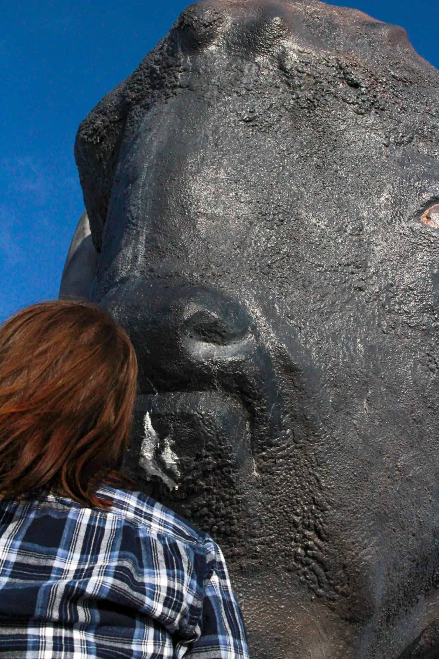 world's largest buffalo Jamestown, North Dakota