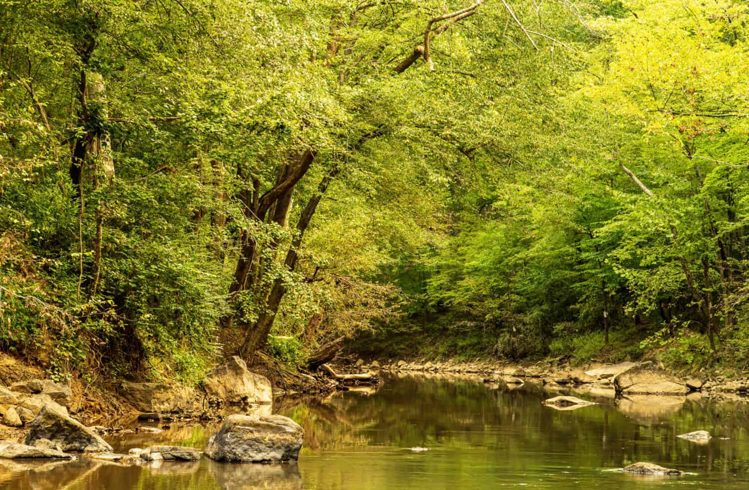 Durham, North Carolina/USA-9/16/2020: The Eno River at Penny's Bend on a Summer Morning.