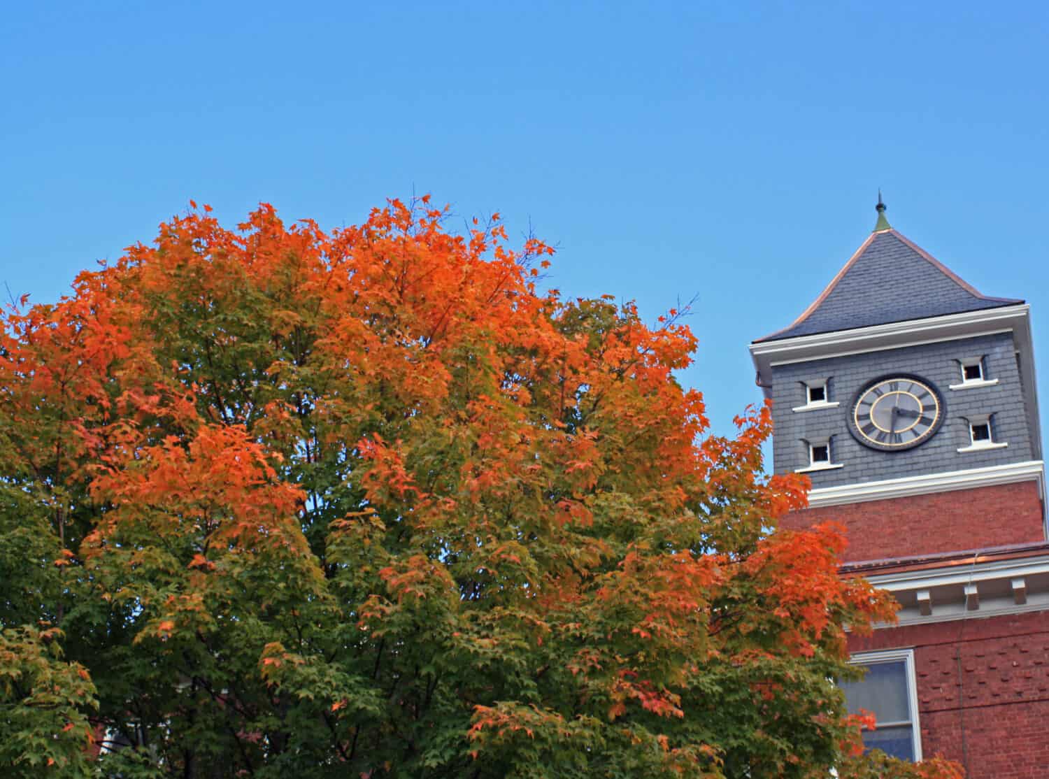 Fall trees at Plymouth State University in New Hampshire