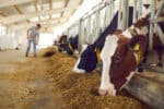 He Was Paid $30,000 in Cattle. Social Security Counted $0 Toward His Benefit.