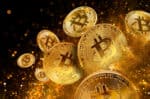 Both Institutions and Retail Are Buying and Holding Crypto Despite Bitcoin’s 50% Pullback