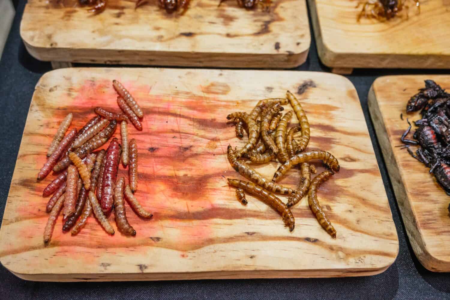 Fried chinicuiles and insects, traditional pre-Hispanic Mexican food, served on a wooden board.
